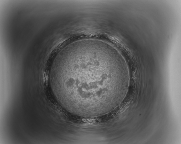 X0000097881302200803211326