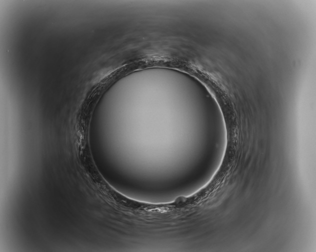 X0000097881303200803211326