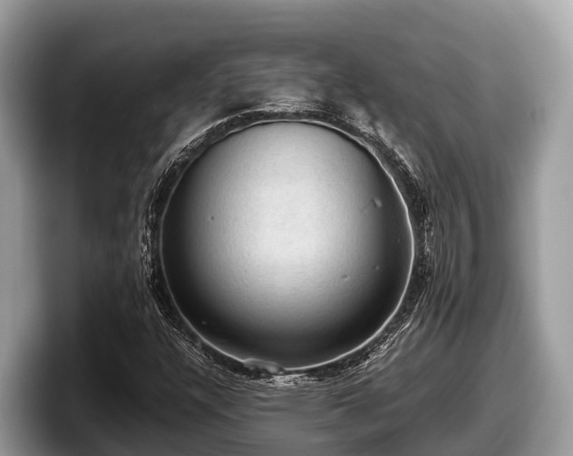X0000097881304200803211326
