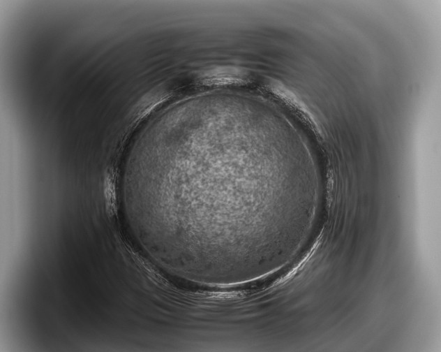 X0000097881305200803211326