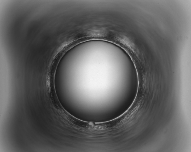 X0000097881307200803211326