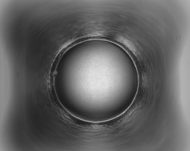 X0000097881308200803211326