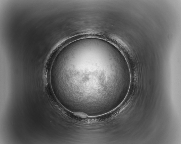 X0000097881310200803211326