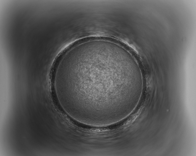 X0000097881311200803211326