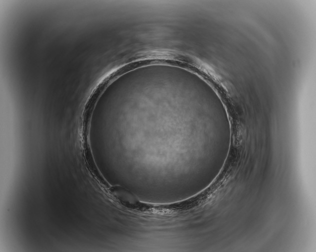 X0000097881312200803211326