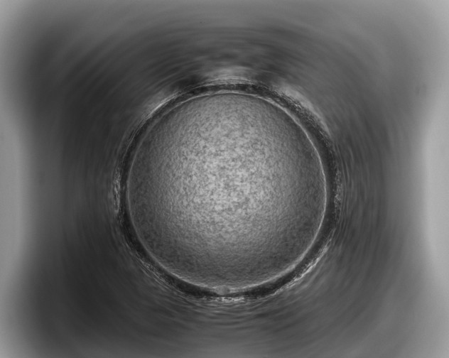 X0000097881313200803211326