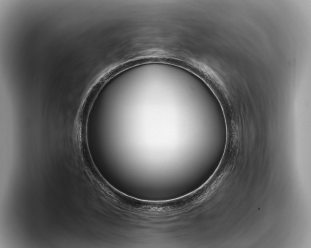 X0000097881318200803211326