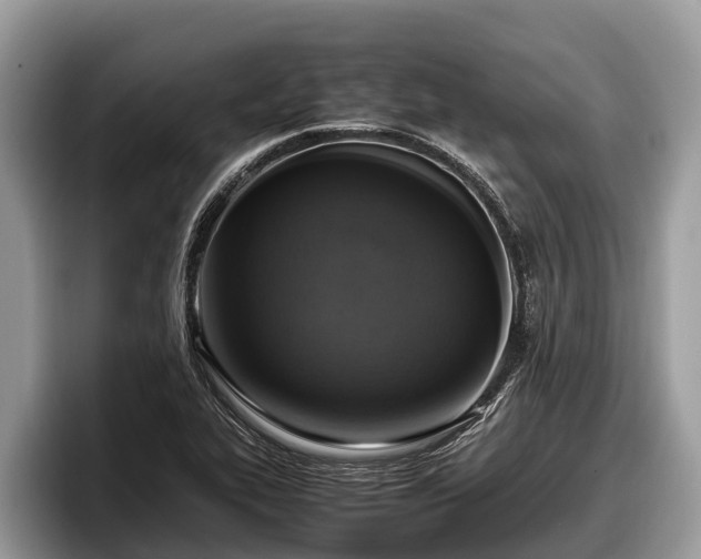 X0000097881319200803211326