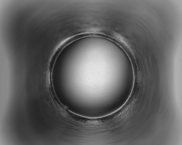 X0000097881320200803211326