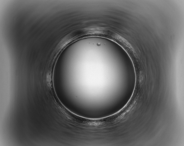 X0000097881321200803211326