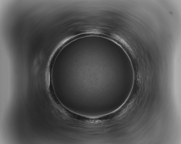 X0000097881323200803211326