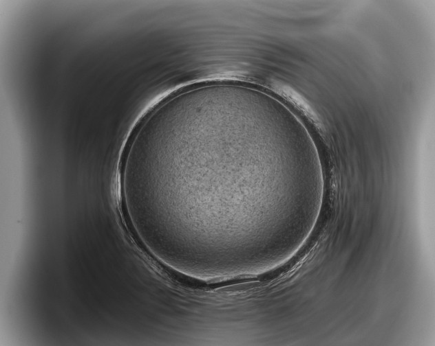 X0000097881324200803211326