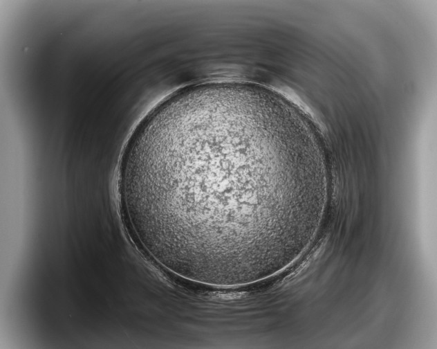 X0000097881325200803211326