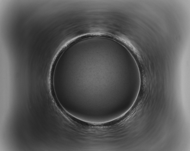 X0000097881327200803211326