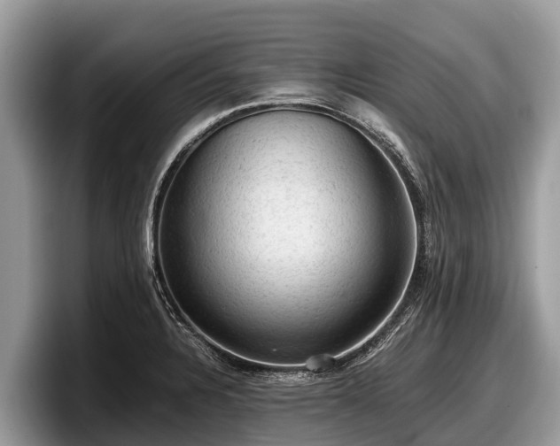 X0000097881328200803211326