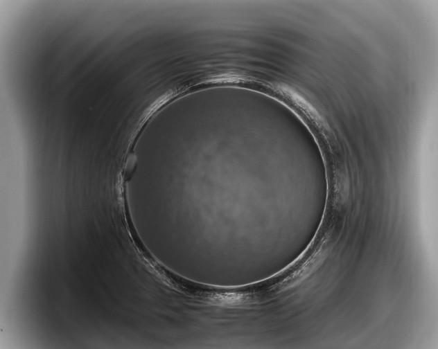 X0000097881329200803211326