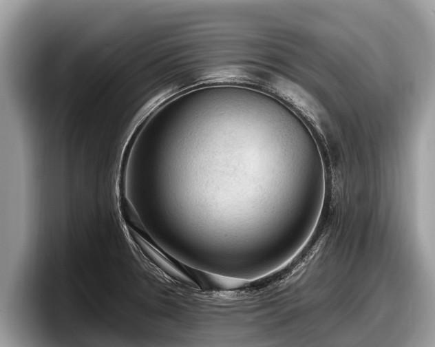 X0000097881330200803211326