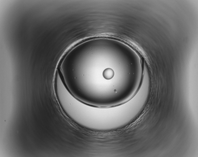 X0000097881332200803211326