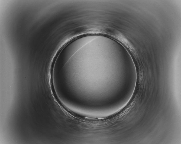 X0000097881334200803211326