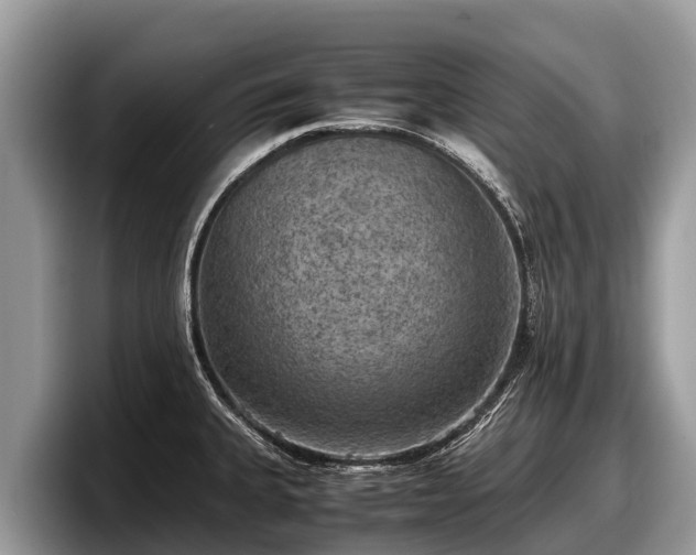 X0000097881335200803211326