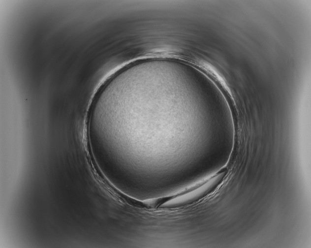 X0000097881336200803211326