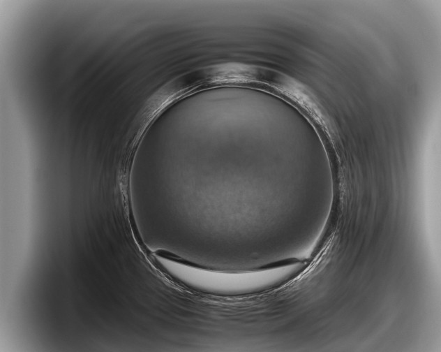 X0000097881337200803211326
