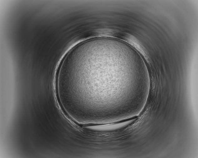 X0000097881339200803211326