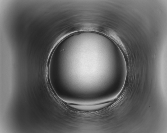 X0000097881340200803211326