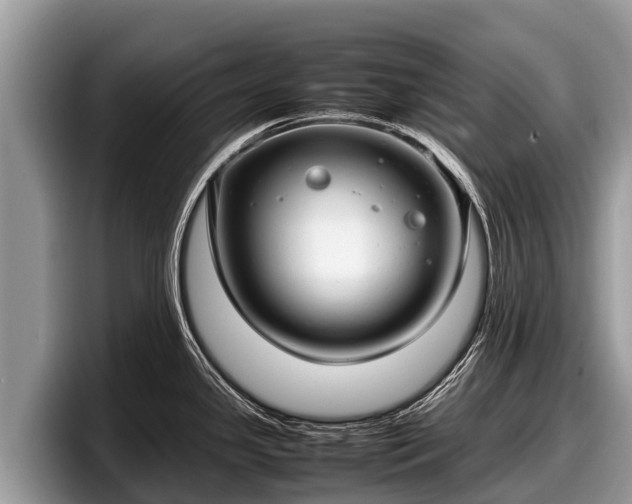 X0000097881341200803211326