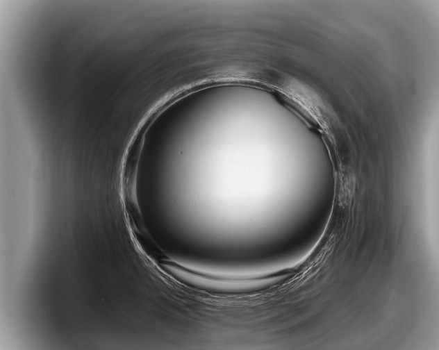 X0000097881342200803211327