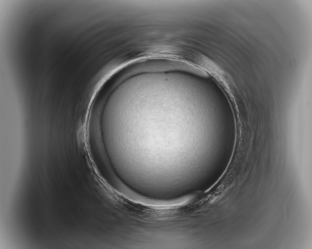 X0000097881344200803211327