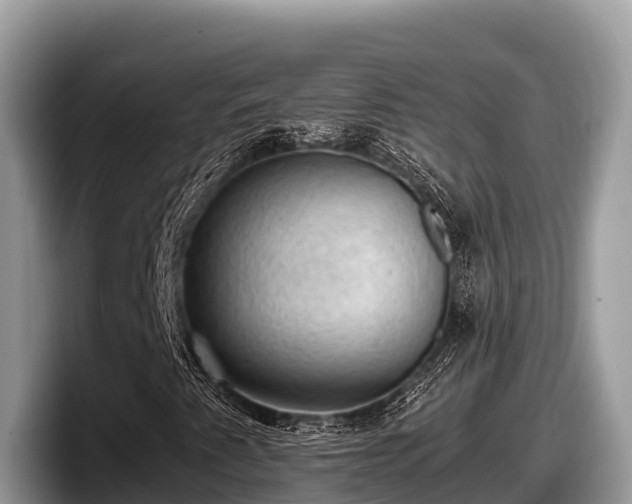X0000097881345200803211326