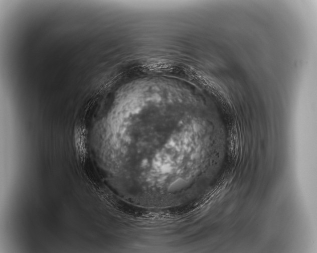 X0000097881346200803211326