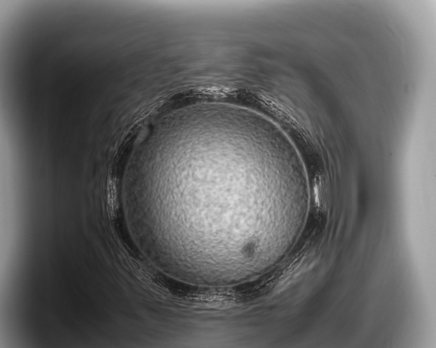 X0000097881347200803211326