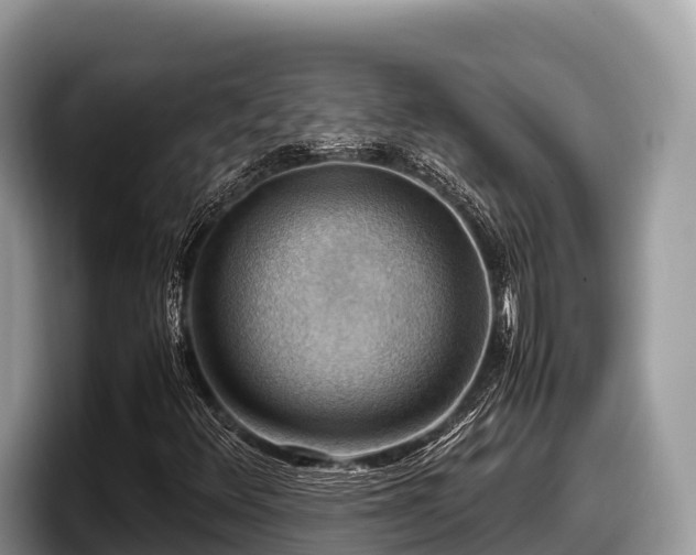 X0000097881348200803211326