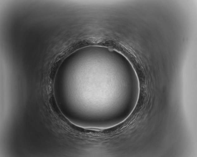 X0000097881349200803211326