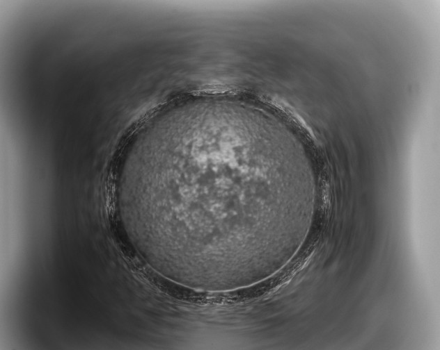 X0000097881350200803211326