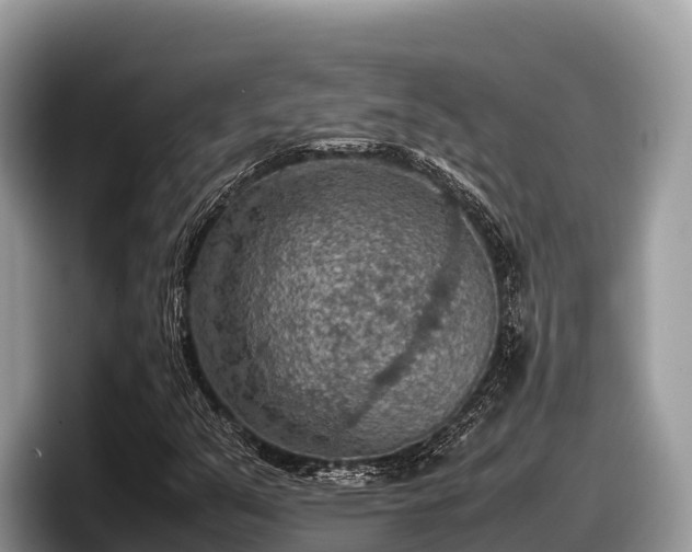 X0000097881351200803211326