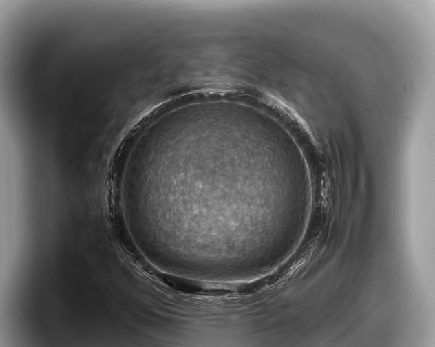 X0000097881352200803211326