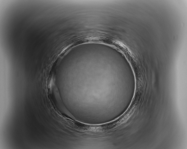 X0000097881353200803211326