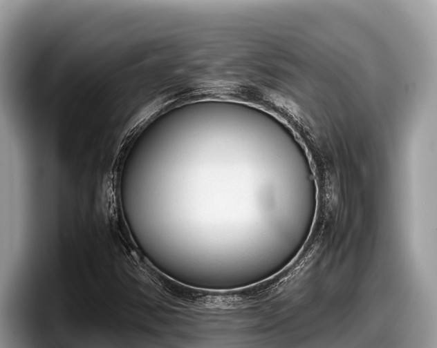 X0000097881354200803211326