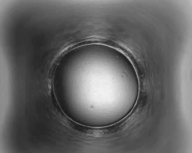 X0000097881355200803211326