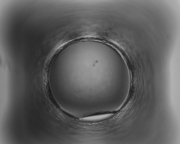 X0000097881359200803211326