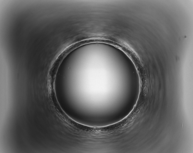 X0000097881360200803211326