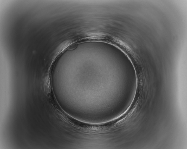 X0000097881362200803211326