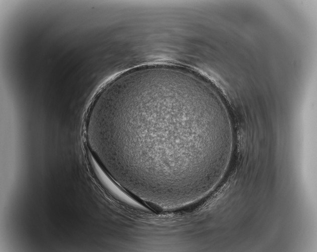 X0000097881363200803211326