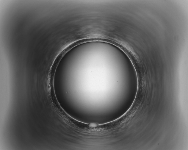 X0000097881364200803211326