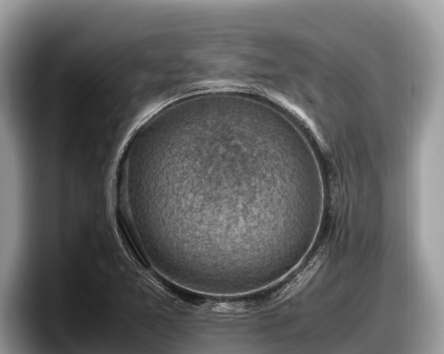 X0000097881365200803211326