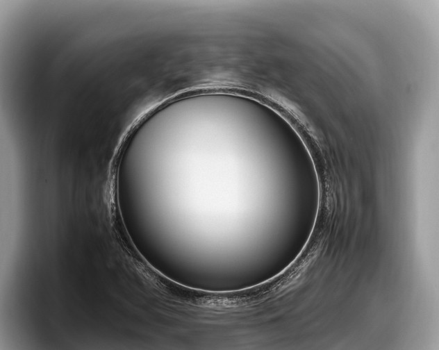 X0000097881366200803211326