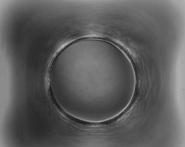X0000097881367200803211326